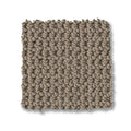 Taupe Gray
