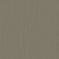 Pewter
