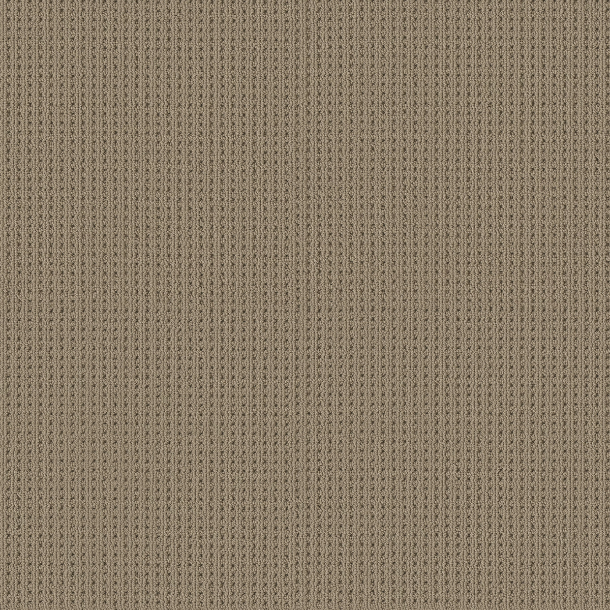 San Antonio - Latte