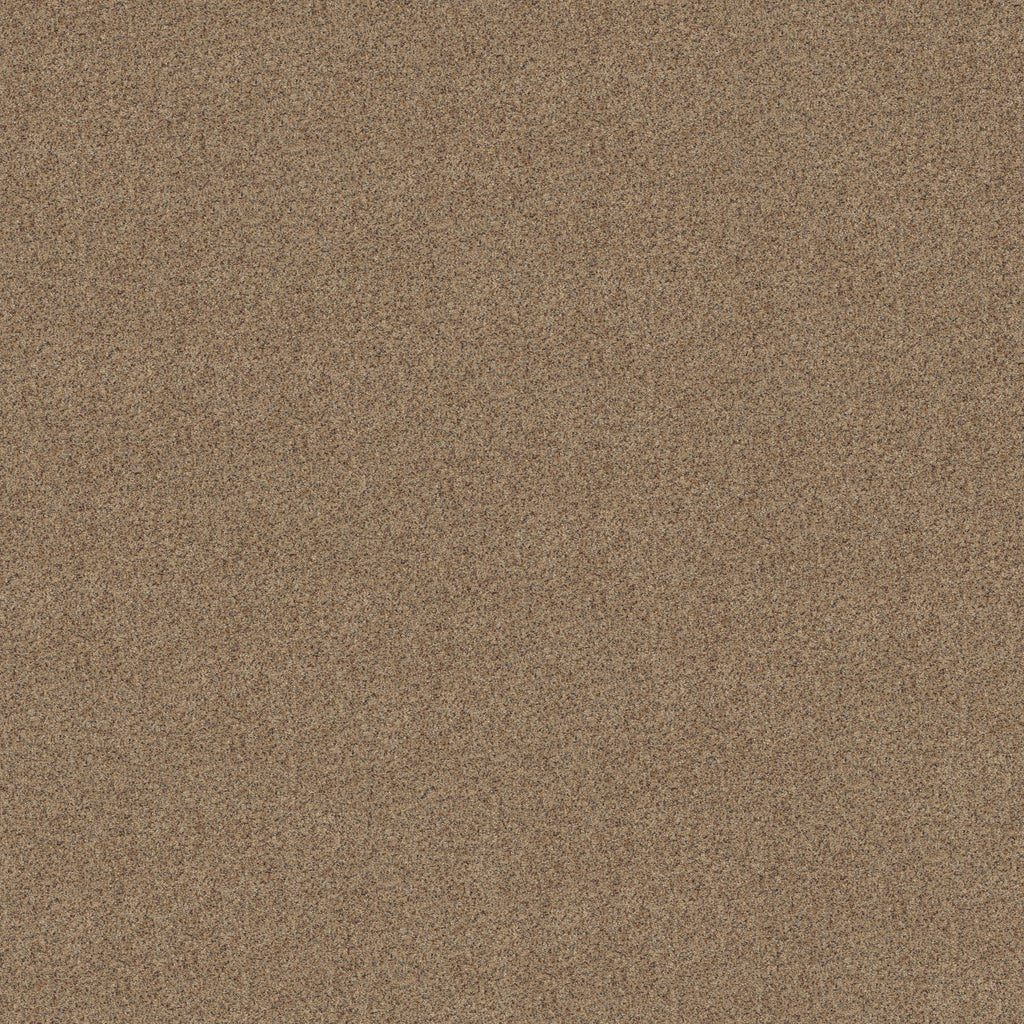 Canyon Lake - Terrazzo