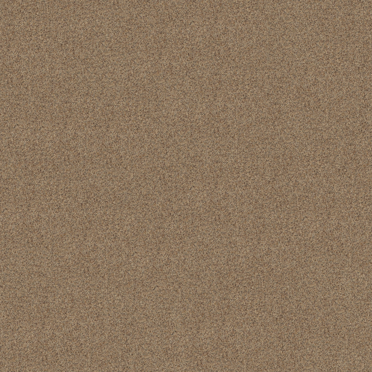 Canyon Lake - Terrazzo