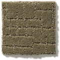 Dry Sage