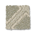 Soft Fern