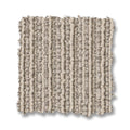 Oyster Shell