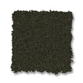Fir