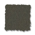 Aluminum