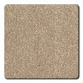 Mocha