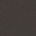 Carbon Colour