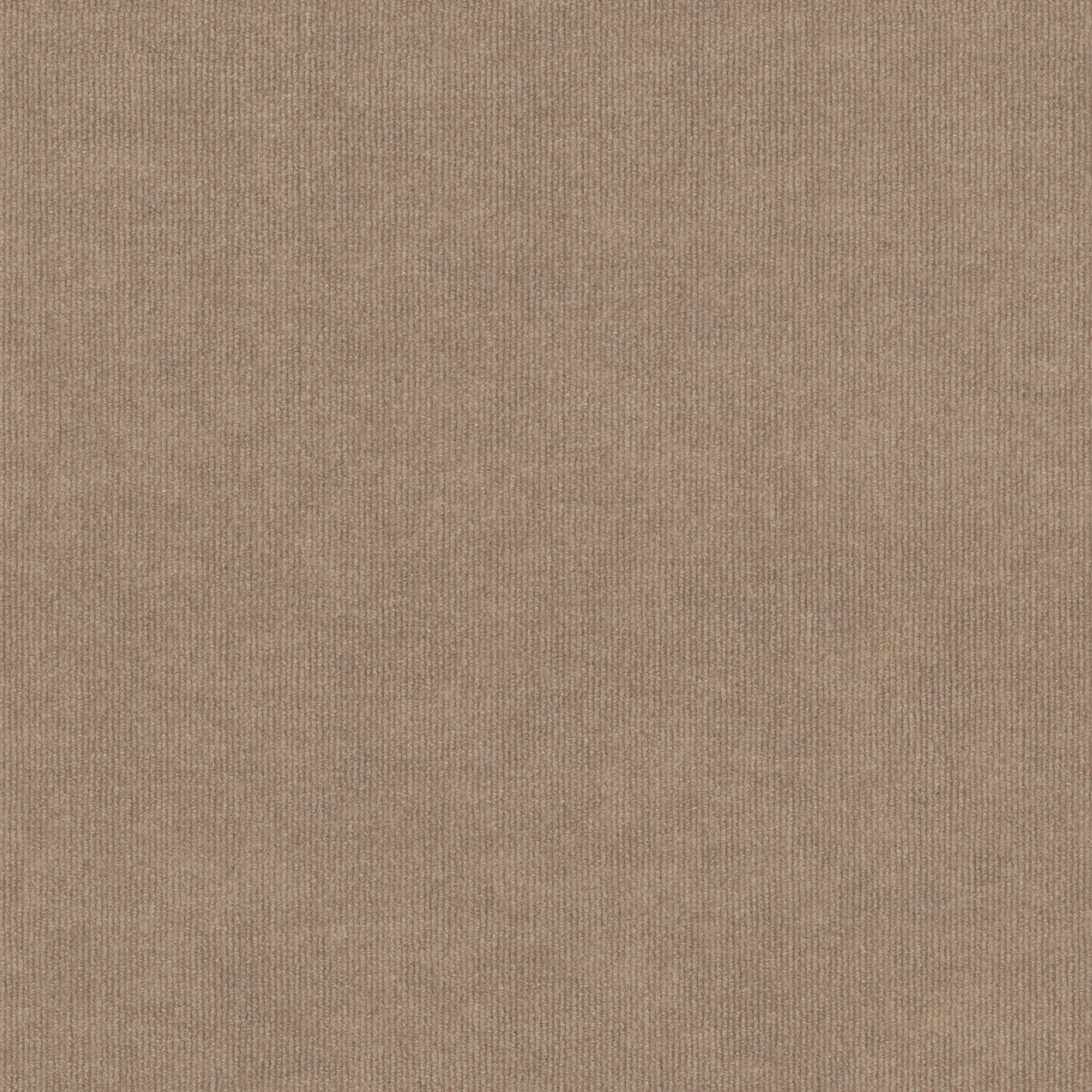 BACKDROP 2 12 - Natural Finish