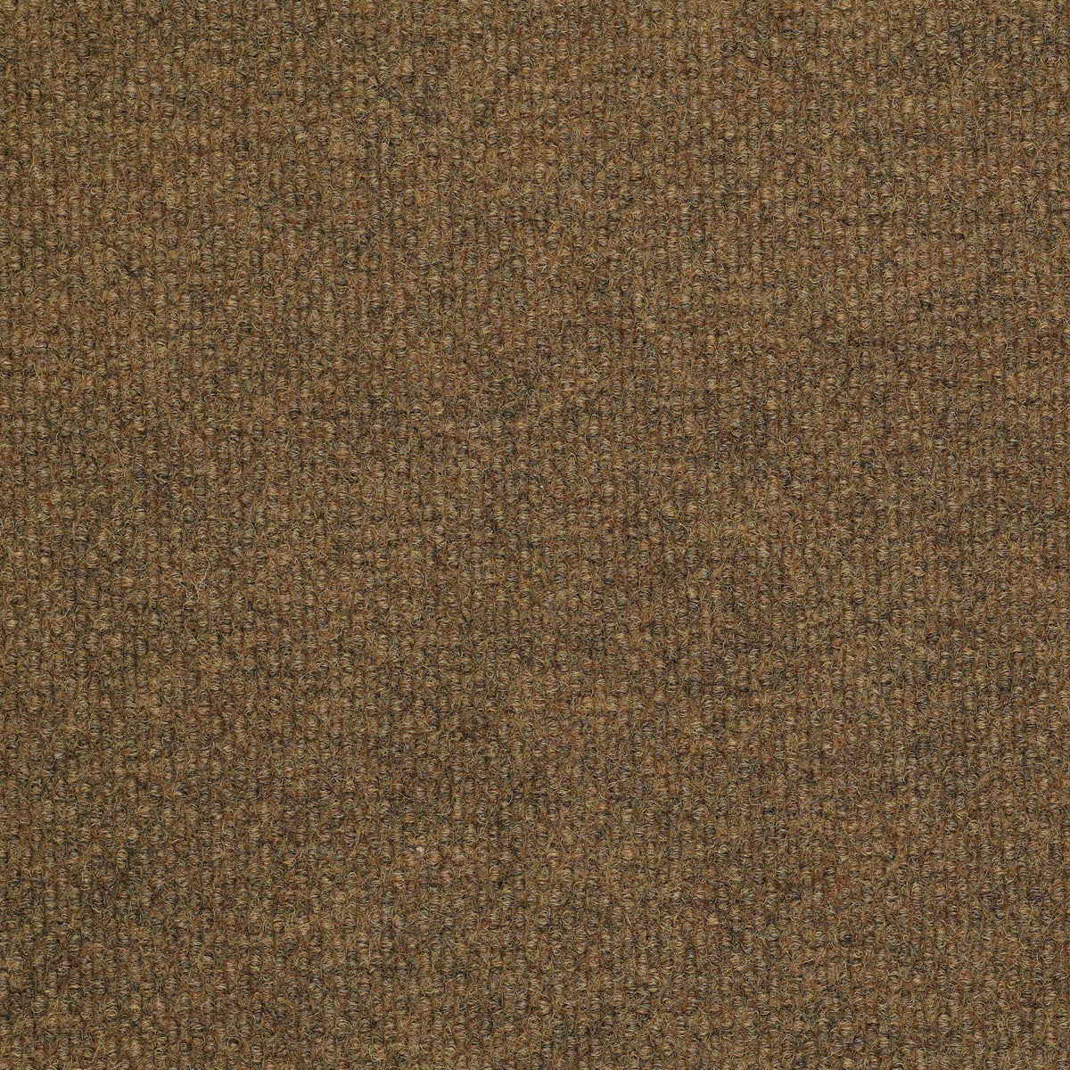 SUCCESSIONII BL - Hammered