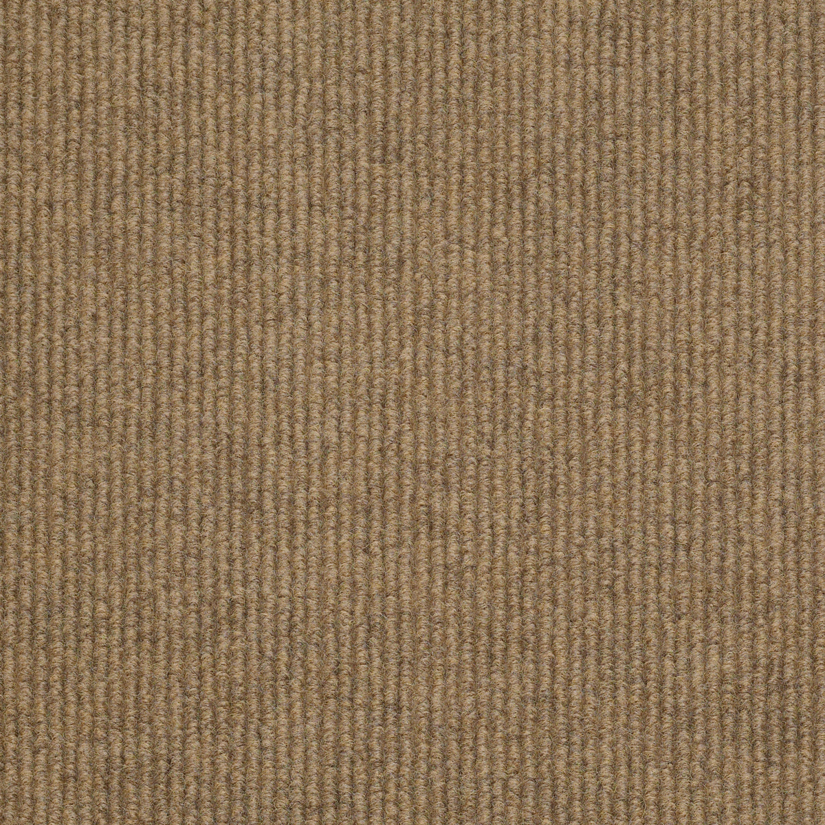 SUMMER STOCK - Haystack