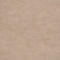 BACKDROP II 6 - Natural Finish