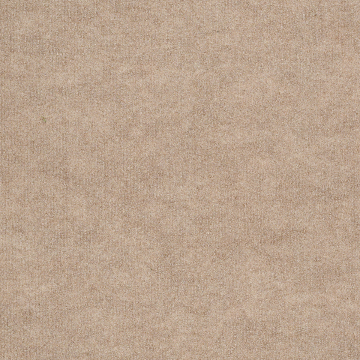 BACKDROP II 6 - Natural Finish