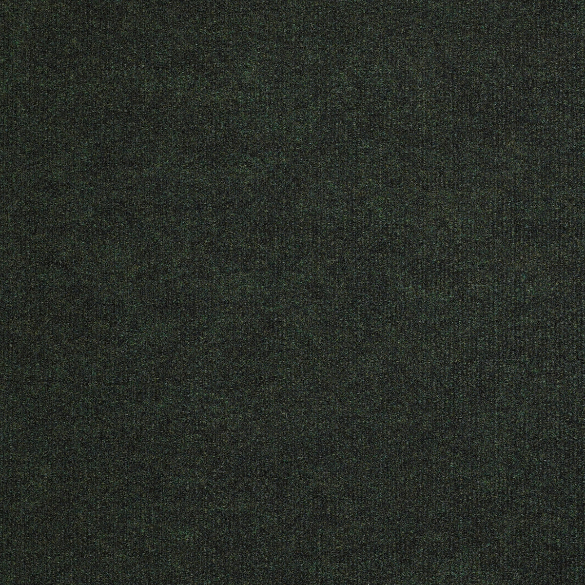 BACKDROP I 12 - Forest Night