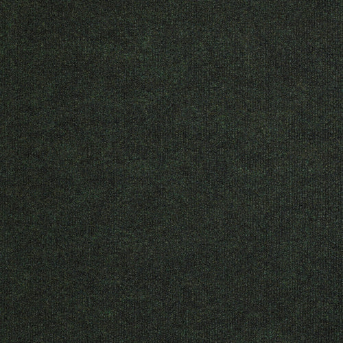 BACKDROP I 12 - Forest Night
