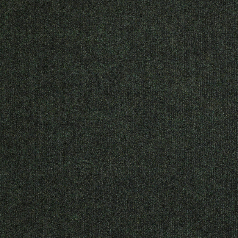 BACKDROP I 12 - Forest Night