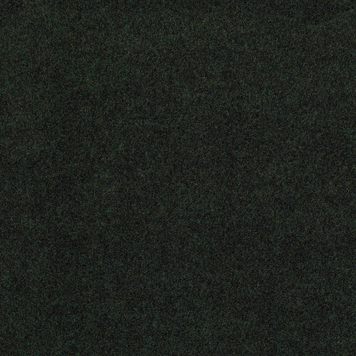 SOFTSCAPE I 12 - Forest Night