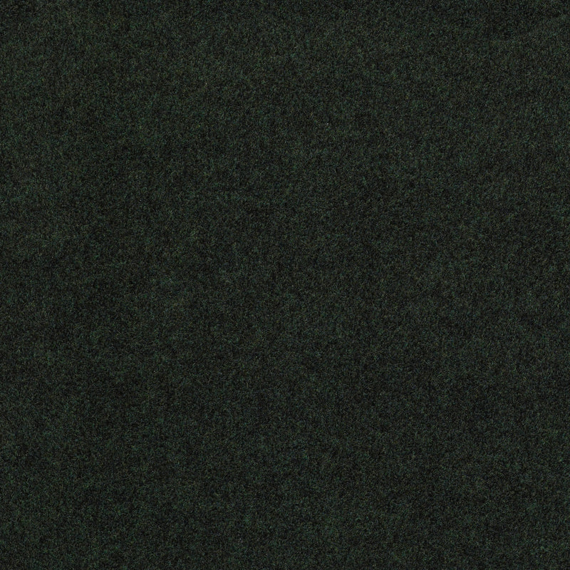 SOFTSCAPE I 12 - Forest Night