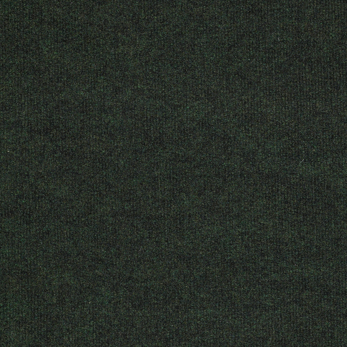 BACKDROP I 6 - Forest Night