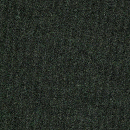 BACKDROP I 6 - Forest Night