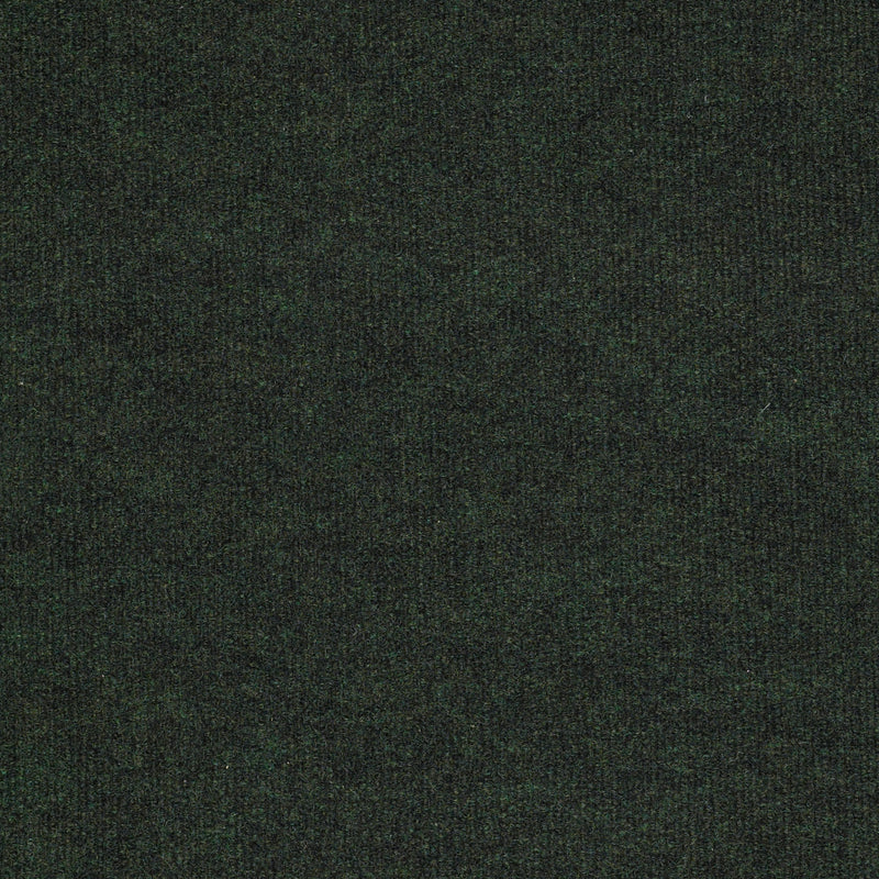 BACKDROP I 6 - Forest Night