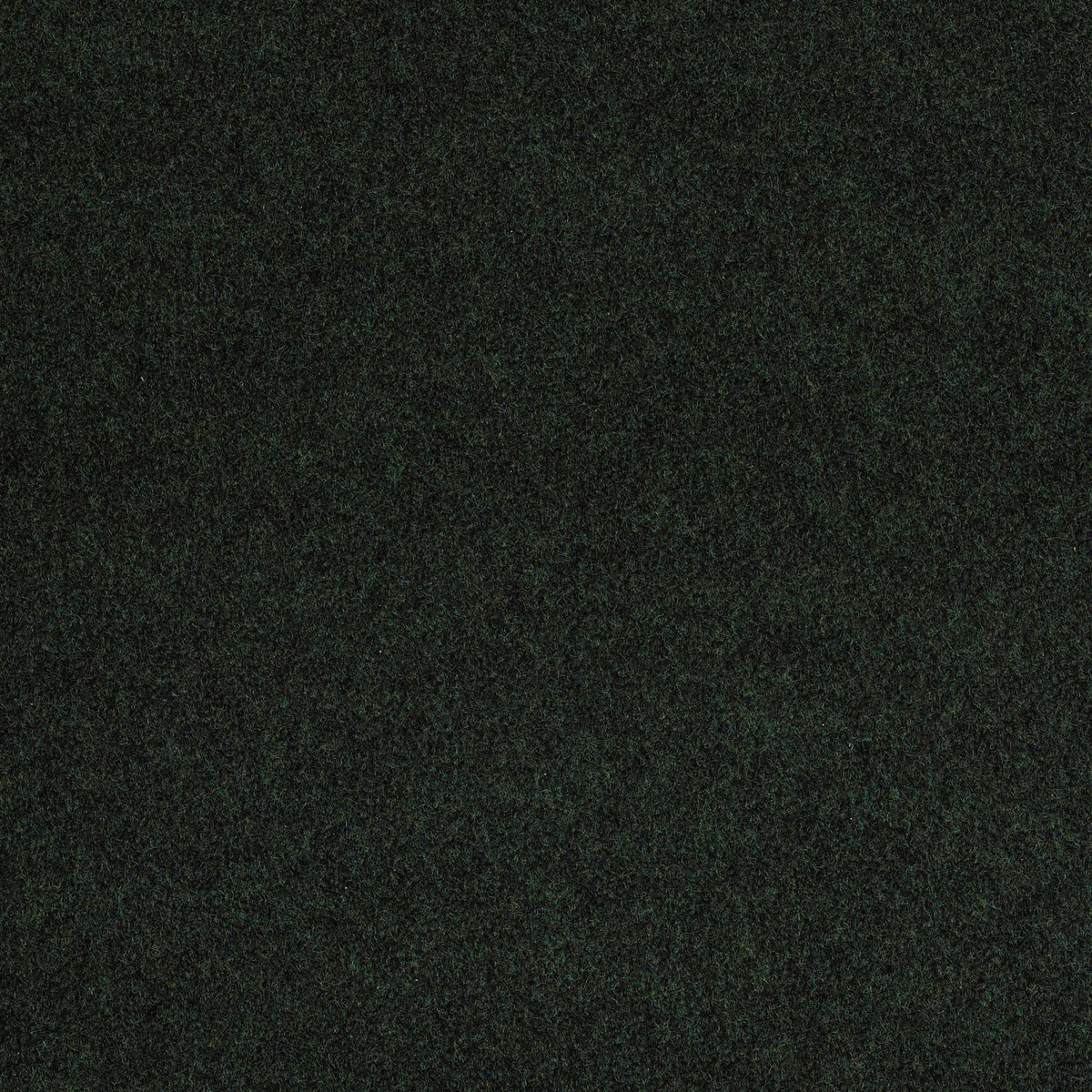 SOFTSCAPE I 6 - Forest Night