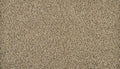 Desert Dust