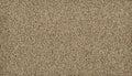 Flax Seed