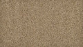 Safari Tan