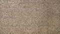 Pebble Path