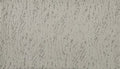 Silver Ash