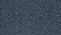 Starlight Denim