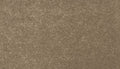 Desert Star