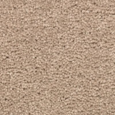 AWF-Mohawk-Color:02ADA13C8F0CD06AF4EE8C43