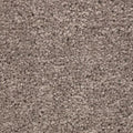 Poised Taupe