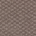 Toasted Taupe