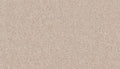 Fortune Cookie