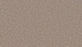 Seagull Beach