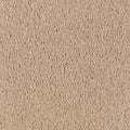 Maple Tint