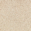 Antique Ivory