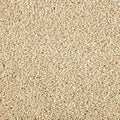 Beach Pebble