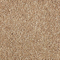 Brushed Suede