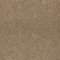 Hearth Beige