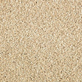 Beach Pebble