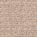 Gobi Sands