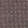 Black Walnut