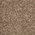 Desert Crackle
