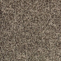 Black Walnut