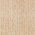 Maple Tint
