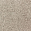 Tahoe Taupe